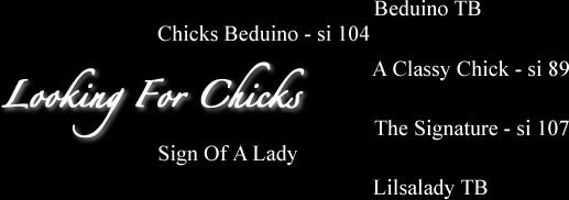 Looking For Chicks
